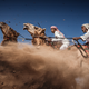 Camel Ardah